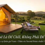 Vcare: Đừng Làm “Osin” Cho Chính Ngôi Nhà Của Bạn